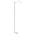 Lampada LED con base stabile e design essenziale - Ephan
