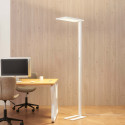 Lampada LED bianca da terra per ufficio, open space o coworking - Ephan